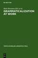 Grammaticalization at Work: Studies of Long-term Developments in English