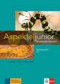 Aspekte junior C1. Medienpaket (4 Audio-CDs + Video-DVD)