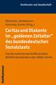 Caritas Und Diakonie Im 'Goldenen Zeitalter' Des Bundesdeutschen Sozialstaats: Transformationen Der Konfessionellen Wohlfahrtsverbande in Den 1960er J