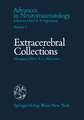 Extracerebral Collections