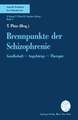 Brennpunkte der Schizophrenie: Gesellschaft — Angehörige — Therapie