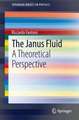 The Janus Fluid: A Theoretical Perspective