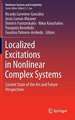 Localized Excitations in Nonlinear Complex Systems: Current State of the Art and Future Perspectives