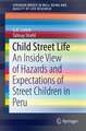 Child Street Life: An Inside View of Hazards and Expectations of Street Children in Peru