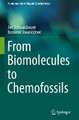 From Biomolecules to Chemofossils