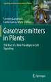 Gasotransmitters in Plants: The Rise of a New Paradigm in Cell Signaling