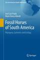 Fossil Horses of South America: Phylogeny, Systemics and Ecology