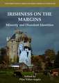 Irishness on the Margins: Minority and Dissident Identities