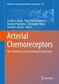 Arterial Chemoreceptors: New Directions and Translational Perspectives