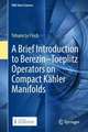 A Brief Introduction to Berezin–Toeplitz Operators on Compact Kähler Manifolds