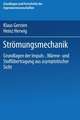 Strömungsmechanik: Grundlagen der Impuls-, Wärme- und Stoffübertragung aus asymptotischer Sicht