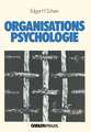 Organisationspsychologie