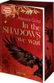 In the Shadows we wait