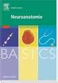 BASICS Neuroanatomie