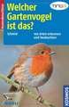 Welcher Gartenvogel ist das?