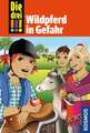 Die drei !!! 55: Wildpferd in Gefahr (drei Ausrufezeichen)