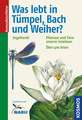 Was lebt in Tümpel, Bach und Weiher?