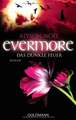 Evermore 04. Das dunkle Feuer