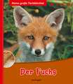 Der Fuchs