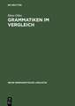 Grammatiken im Vergleich: Deutsch - Französisch - Englisch - Latein. Formen - Bedeutungen - Verstehen