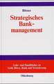 Strategisches Bankmanagement: Ressourcen- und marktorientierte Strategien von Universalbanken