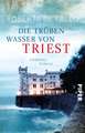 Die trüben Wasser von Triest