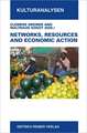 Networks, Resources and Economic Action