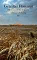 Geteilter Horizont
