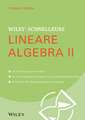 Wiley–Schnellkurs Lineare Algebra II