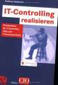 IT-Controlling realisieren: Praxiswissen für IT-Controller, CIOs und IT-Verantwortliche