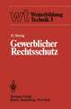 Gewerblicher Rechtsschutz: Patent, Gebrauchsmuster, Warenbezeichnung, Geschmacksmuster und ihre Behandlung