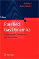 Rarefied Gas Dynamics: Fundamentals, Simulations and Micro Flows