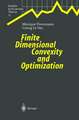 Finite Dimensional Convexity and Optimization