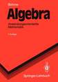 Algebra: Anwendungsorientierte Mathematik