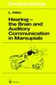 Hearing - The Brain and Auditory Communication in Marsupials