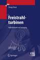 Freistrahlturbinen: Hydromechanik und Auslegung