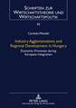 Industry Agglomerations and Regional Development in Hungary