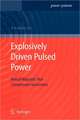 Explosively Driven Pulsed Power: Helical Magnetic Flux Compression Generators