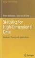 Statistics for High-Dimensional Data: Methods, Theory and Applications