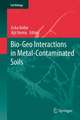 Bio-Geo Interactions in Metal-Contaminated Soils