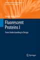 Fluorescent Proteins I: From Understanding to Design