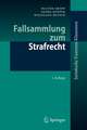 Fallsammlung zum Strafrecht