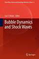 Bubble Dynamics and Shock Waves