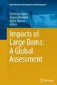 Impacts of Large Dams: A Global Assessment