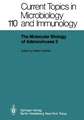 The Molecular Biology of Adenoviruses 2: 30 Years of Adenovirus Research 1953–1983