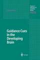 Guidance Cues in the Developing Brain