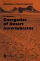 Energetics of Desert Invertebrates