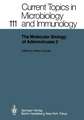 The Molecular Biology of Adenoviruses 3: 30 Years of Adenovirus Research 1953–1983