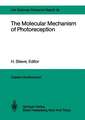 The Molecular Mechanism of Photoreception: Report of the Dahlem Workshop on the Molecular Mechanism of Photoreception Berlin 1984, November 25–30