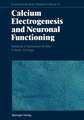 Calcium Electrogenesis and Neuronal Functioning